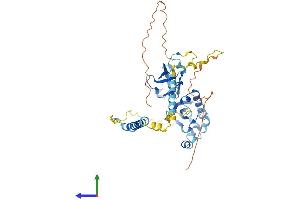 AlphaFold protein structure predicition of Mouse Recombinant Sgce Protein, UniprotID O70258