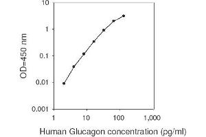 ELISA image for Glucagon (GCG) ELISA Kit (ABIN2703058) (Glucagon Kit ELISA)