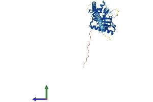 AlphaFold protein structure predicition of Human Recombinant GIMAP2 Protein, UniprotID Q9UG22