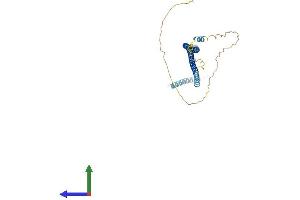 AlphaFold protein structure predicition of Mouse Recombinant Dtnbp1 Protein, UniprotID Q91WZ8