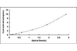 Typical standard curve (RALBP1 Kit ELISA)