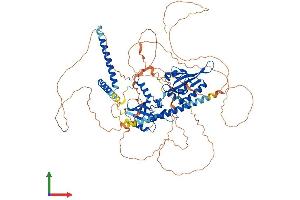 AlphaFold protein structure predicition of Human Recombinant NPAS2 Protein, UniprotID Q99743