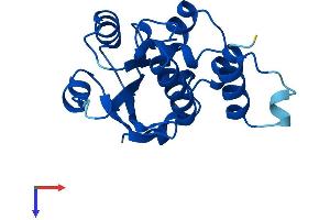 AlphaFold protein structure predicition of Human Recombinant TPRKB Protein, UniprotID Q9Y3C4
