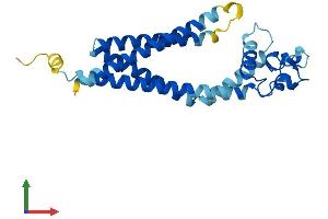 AlphaFold protein structure predicition of Mouse Recombinant Tspan3 Protein, UniprotID Q9QY33