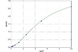A typical standard curve