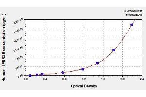 Typical standard curve (Small Proline-Rich Protein 2B (SPRR2B) Kit ELISA)
