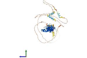 AlphaFold protein structure predicition of Mouse Recombinant Pxn Protein, UniprotID Q8VI36
