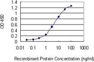 Detection limit for recombinant GST tagged CRKRS is 0.