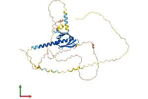 AlphaFold protein structure predicition of Human Recombinant PHLDA1 Protein, UniprotID Q8WV24