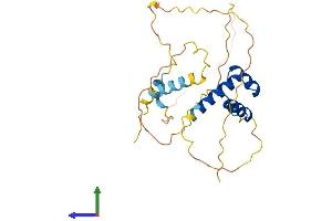 AlphaFold protein structure predicition of Mouse Recombinant Nkx6-3 Protein, UniprotID Q3UHX8