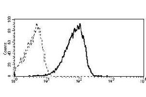 Flow cytometry analysis of CD19+ peripheral blood leukocytes using anti-CD361 antibody (MEM-216).