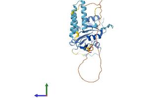 AlphaFold protein structure predicition of Mouse Recombinant Aagab Protein, UniprotID Q8R2R3