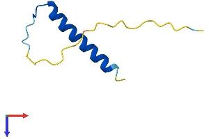 AlphaFold protein structure predicition of Human Recombinant PCP4 Protein, UniprotID P48539