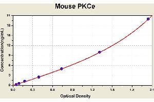 Protein Kinase C, epsilon (PRKCE) ELISA Kit