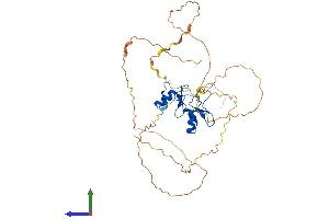 AlphaFold protein structure predicition of Human Recombinant GATA5 Protein, UniprotID Q9BWX5