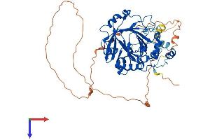 AlphaFold protein structure predicition of Mouse Recombinant Kdm4d Protein, UniprotID Q3U2K5