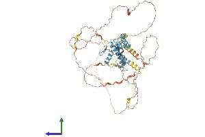AlphaFold protein structure predicition of Human Recombinant ZSCAN18 Protein, UniprotID Q8TBC5