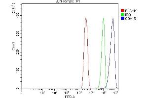 Flow Cytometry analysis of C2C12 cells using anti-M Cadherin/CDH15 antibody (ABIN7602173). (CDH15 anticorps  (AA 61-742))