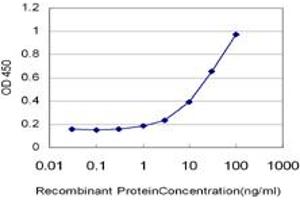 Detection limit for recombinant GST tagged HUNK is approximately 1ng/ml as a capture antibody. (HUNK anticorps  (AA 615-714))