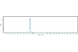 The purity of Anti- Human CLDN18. (Recombinant CLDN18.2 (Zolbetuximab Biosimilar) anticorps)