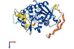 AlphaFold protein structure predicition of Human Recombinant ABHD17C Protein, UniprotID Q6PCB6