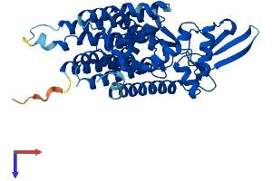 AlphaFold protein structure predicition of Mouse Recombinant Dpagt1 Protein, UniprotID P42867