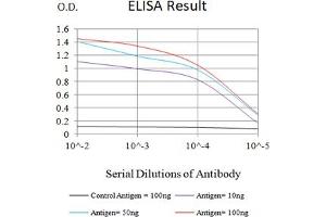 Black line: Control Antigen (100 ng),Purple line: Antigen (10 ng), Blue line: Antigen (50 ng), Red line:Antigen (100 ng)