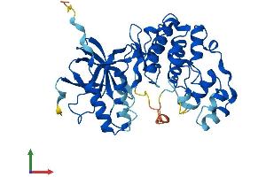 AlphaFold protein structure predicition of Human Recombinant MAPK11 Protein, UniprotID Q15759