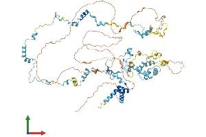 AlphaFold protein structure predicition of Human Recombinant EFHB Protein, UniprotID Q8N7U6