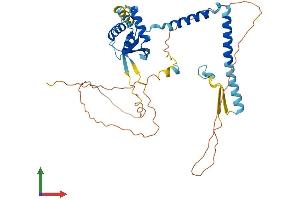 AlphaFold protein structure predicition of Mouse Recombinant Sec62 Protein, UniprotID Q8BU14