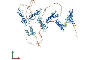 AlphaFold protein structure predicition of Human Recombinant ZNF169 Protein, UniprotID Q14929