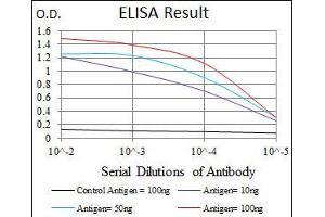 Black line: Control Antigen (100 ng), Purple line: Antigen(10 ng), Blue line: Antigen (50 ng), Red line: Antigen (100 ng), (MELK anticorps  (AA 637-651))