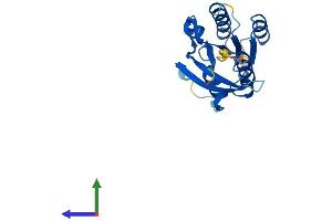 AlphaFold protein structure predicition of Mouse Recombinant Nkiras1 Protein, UniprotID Q8CEC5