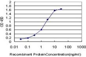 Detection limit for recombinant GST tagged BNIP3L is approximately 0.