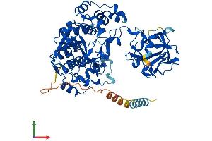 AlphaFold protein structure predicition of Human Recombinant GALNTL6 Protein, UniprotID Q49A17