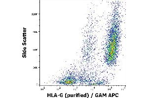 Flow cytometry surface staining pattern of HLA-G transfected LCL cells using anti-human HLA-G (01G) purified antibody (concentration in sample 16 μg/mL) GAM APC. (HLAG anticorps)