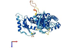 AlphaFold protein structure predicition of Mouse Recombinant Fuz Protein, UniprotID Q3UYI6