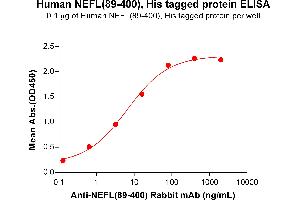 ELISA plate pre-coated by 1 μg/mL (100 μL/well) Human NEFL (89-400) Protein, His Tag (ABIN7092803, ABIN7272128 and ABIN7272129) can bind Anti-NEFL(89-400) antibody(DM199), Rabbit mAb ABIN7455262, ABIN7490482 and ABIN7490483 in a linear range of 0.