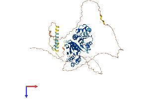 AlphaFold protein structure predicition of Mouse Recombinant Nt5c1b Protein, UniprotID Q91YE9