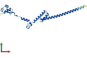 AlphaFold protein structure predicition of Mouse Recombinant Rpl19 Protein, UniprotID P84099