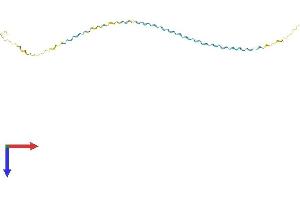 AlphaFold protein structure predicition of Mouse Recombinant Sprr1b Protein, UniprotID Q62267