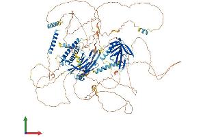 AlphaFold protein structure predicition of Mouse Recombinant Anln Protein, UniprotID Q8K298