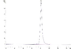 The purity of Human CLEC4A/DCIR is greater than 95 % as determined by SEC-HPLC.