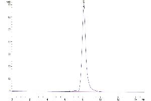 The purity of Human CLEC4A/DCIR is greater than 95 % as determined by SEC-HPLC. (CLEC4A Protein (AA 70-237) (Fc Tag))