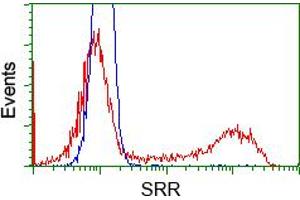 HEK293T cells transfected with either pCMV6-ENTRY SRR (RC210359) (Red) or empty vector control plasmid (Blue) were immunostained with anti-SRR mouse monoclonal (ABIN2453687), and then analyzed by flow cytometry. (SRR anticorps)