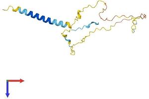 AlphaFold protein structure predicition of Human Recombinant GAPT Protein, UniprotID Q8N292