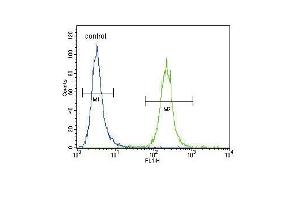 IREB2 Antibody (Center) (ABIN656586 and ABIN2845848) flow cytometric analysis of Hela cells (right histogram) compared to a negative control cell (left histogram). (IREB2 anticorps  (AA 201-230))