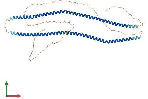 AlphaFold protein structure predicition of Human Recombinant SYNC Protein, UniprotID Q9H7C4
