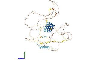 AlphaFold protein structure predicition of Human Recombinant GAB3 Protein, UniprotID Q8WWW8