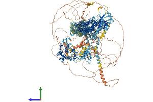 AlphaFold protein structure predicition of Human Recombinant MAP3K4 Protein, UniprotID Q9Y6R4